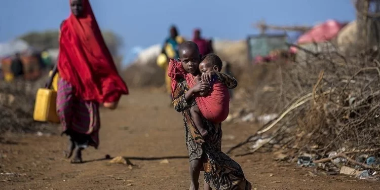 الأمم المتحدة: الملايين يفتقدون الأمن الغذائي في الساحل الأفريقي