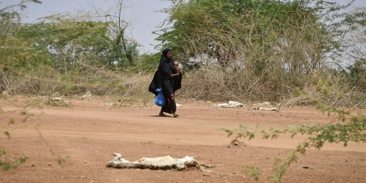 الأمم المتحدة تحذر: الصومال على شفا جوع مدمر يمكن أن يحصد آلاف الأرواح (تقرير)