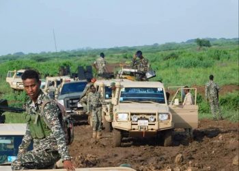 الجيش الوطني يعتقل 6 عناصر من مليشيات الشباب الإرهابية