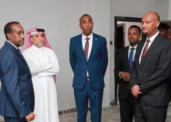 رئيس الوزراء الصومالي يؤكد أن دولة قطر شريك مهم لبلاده