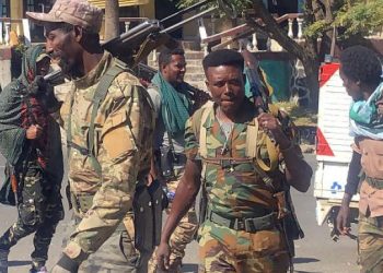 هجوم حركة الشباب على الإقليم الصومالي في إثيوبيا: تهديد لأمن مقديشو وأديس أبابا (تقرير)