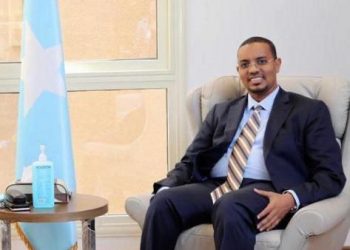 سفير الصومال بالقاهرة يهنئ مصر بذكرى ثورة 23 يوليو