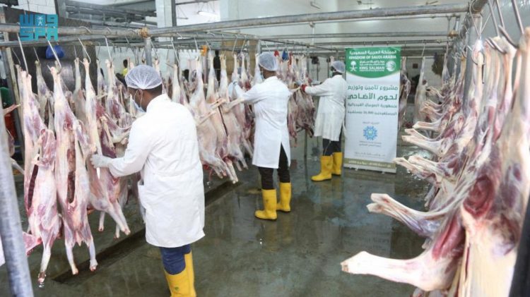 مركز الملك سلمان للإغاثة يوزع 550 أضحية في الصومال (صور)