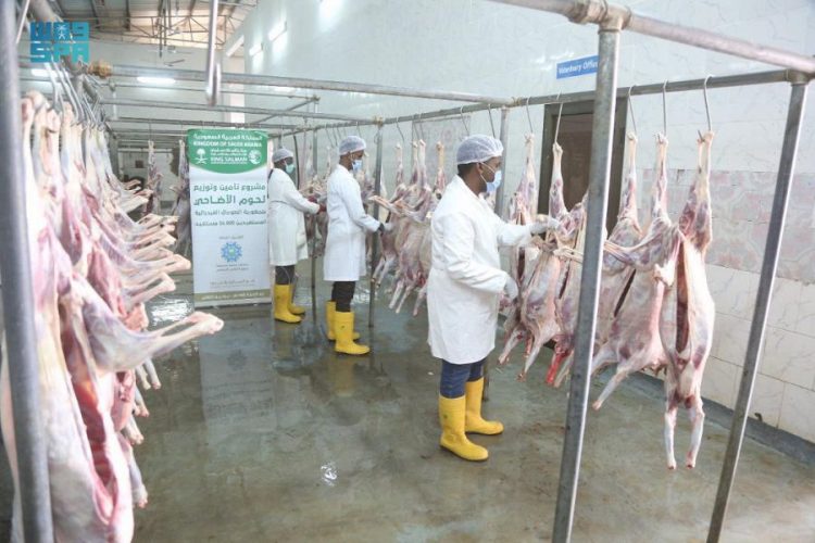 مركز الملك سلمان للإغاثة يوزع 550 أضحية في الصومال (صور)