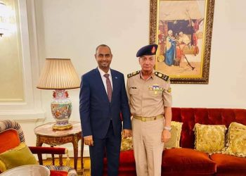 وزير الدفاع يجتمع مع نظيره المصري