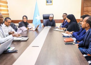 وزير الداخلية الفيدرالي يستقبل وفد من المنظمة العالمية للسلام