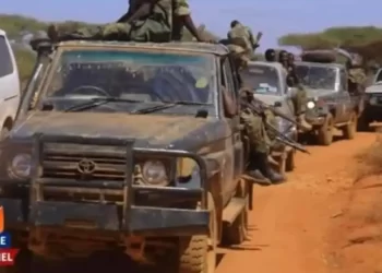 معركة عيل بور.. ماذا يعني طرد “الشباب” من معقلهم في الصومال؟