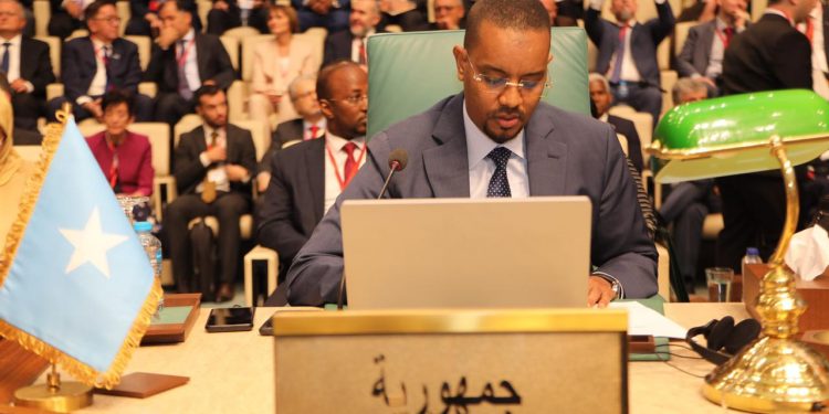 مندوب الصومال بالجامعة العربية يطلع وزراء الخارجية العرب على تطورات الوضع في بلاده