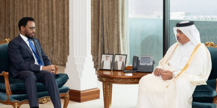 وزير المالية الصومالي يلتقي نظيره القطري