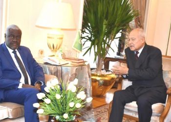 الجامعة العربية ومفوضية الاتحاد الإفريقي تحذران من إبادة جماعية في غزة