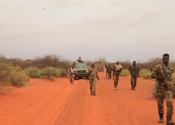 20 قتيلا من مقاتلي حركة الشباب على أيدي الجيش الصومالي