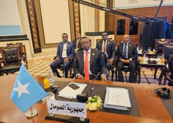 وزير العدل الصومالي يدعو الأشقاء العرب إلى مساعدة الصومال في إصلاح منظومة العدل والقضاء