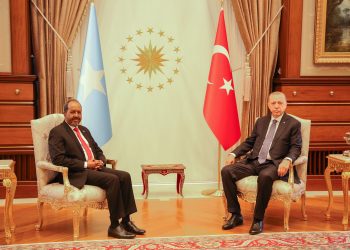 الرئيس الصومالي يلتقي نظيره التركي في إسطنبول