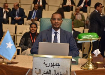 مندوب الجمهورية لدى جامعة الدول العربية يشارك في اجتماع تشاوري عربي للتحضير للقمة العربية الافريقية المقبلة بالرياض