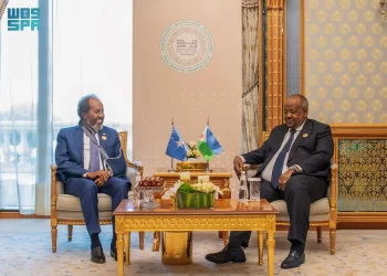 رئيس جمهورية الصومال  يلتقي رئيس جمهورية جيبوتي  على هامش القمة السعودية الأفريقية