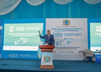رئيس الوزراء الصومالي يفتتح فعاليات مؤتمر الاستثمار في الاقتصاد الأزرق
