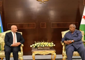 نائب رئيس مجلس القيادة اليمني يكشف حصيلة اجتماع مع رئيس جيبوتي