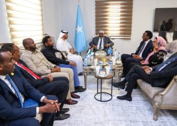 رئيس مجلس الشعب يجتمع مع سفير الإمارات بحضور لجنة الصداقة البرلمانية الصومالية الإماراتية