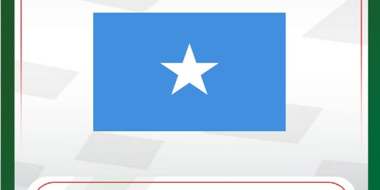 البرلمان العربي يرحب بقرار مجلس الأمن برفع حظر الأسلحة المفروض على الصومال منذ 31 عام