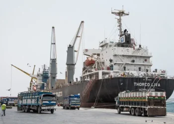 ما خيارات مقديشو لتقويض اتفاق إثيوبيا وأرض الصومال؟