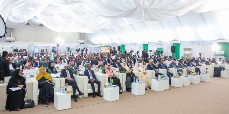 الدكتور عبدالله الربيعة يدشن 24 مشروعا إنسانيا في  الصومال  بقيمة إجمالية تبلغ 45 مليون دولار أمريكي