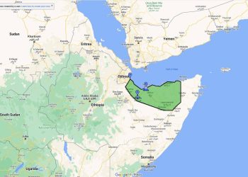 سيناريوهات التحرك العربي لدعم الصومال في أزمة «الميناء الإثيوبي»