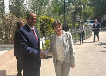 فرنسا وجيبوتي تبحثان الوضع في البحر الأحمر