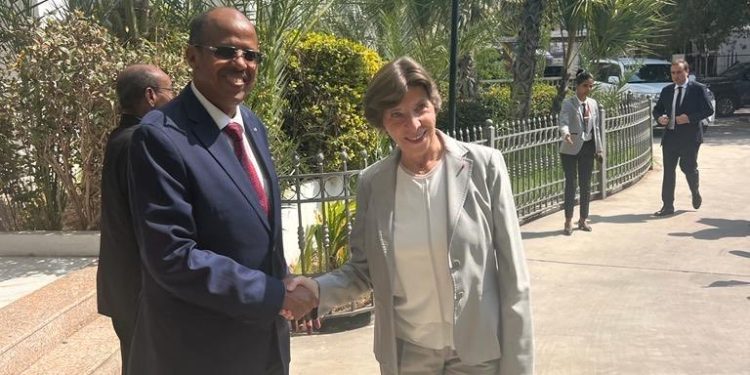 فرنسا وجيبوتي تبحثان الوضع في البحر الأحمر