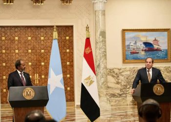 الرئيس الصومالي: الشراكة الدولية بين مصر والصومال لا تهدد أي بلد آخر