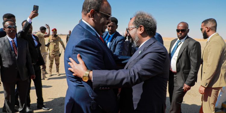 بالصور… الرئيس حسن شيخ يصل غرووي للمشاركة في مراسم تنصيب سعيد دني