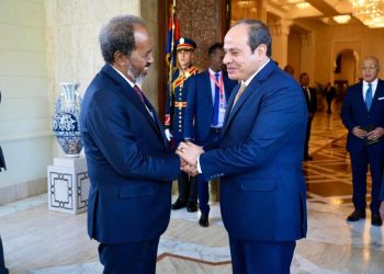 وسائل الإعلام العربية والدولية تبرز لقاء رئيس الجمهورية و السيسي حول رفض التدخل في الشؤون الصومالية