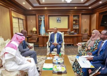 مباحثات صومالية سعودية بشأن الفرص الإستثمارية