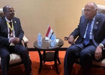 مصر وجيبوتي يؤكدان خطورة التطورات الأخيرة ذات الصلة بالوضع في الصومال