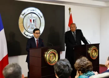 دعوة مصرية فرنسية لوقف إطلاق النار في غزة