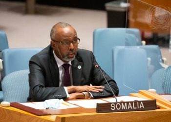 سفير الصومال لدى الأمم المتحدة يطلع مجلس الأمن على التدخلات الإثيوبية ضد سيادة البلاد