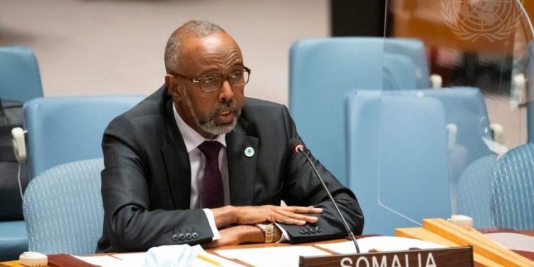 سفير الصومال لدى الأمم المتحدة يطلع مجلس الأمن على التدخلات الإثيوبية ضد سيادة البلاد