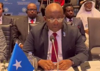 وزير الإعلام  الصومالي يطالب الدول الإسلامية بدعم البلاد  في مواجهة التجاوزات الإثيوبية