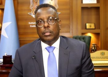 وزير العدل الصومالي: الاتفاقية العسكرية مع تركيا ليست موجهة ضد إثيوبيا