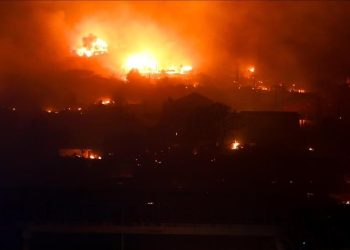 تشيلي.. ارتفاع عدد قتلى الحرائق إلى 131 شخصا