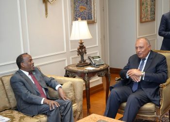 القائم بأعمال وزير الخارجية والتعاون الدولي الصومالي يلتقي وزير الخارجية المصري