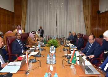 مندوب الصومال يدعو لبلورة موقف عربي موحد لوقف الانتهاكات الإثيوبية بحق سيادة الصومال على أراضيه