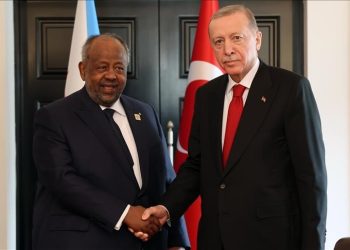 أردوغان يبحث مع نظيره الجيبوتي العلاقات وقضايا إقليمية وعالمية