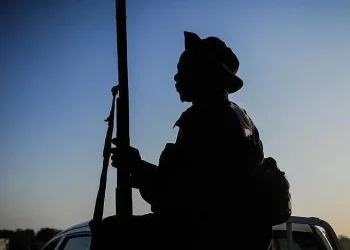 نيجيريا.. استسلام قياديين اثنين من “بوكو حرام” للجيش