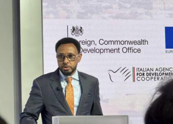 وزير المالية يحث المؤسسات المالية الدولية على دعم تمويل الصومال