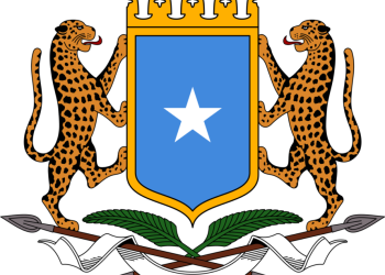 الصومال : استسلام مائة عنصر من  مقاتلي الشباب