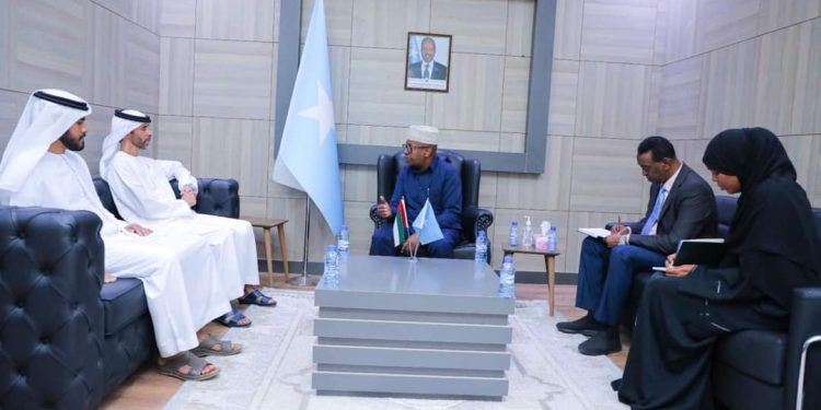 وزير الخارجية الصومالي يبحث مع سفير دولة الإمارات سبل تعزيز التعاون الثنائي