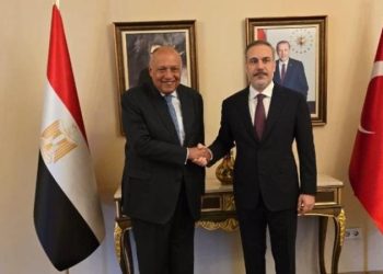 مصر وتركيا تجددان دعمهما لسلامة أراضي جمهورية الصومال الفيدرالية