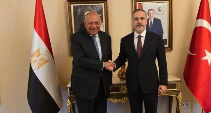 مصر وتركيا تجددان دعمهما لسلامة أراضي جمهورية الصومال الفيدرالية