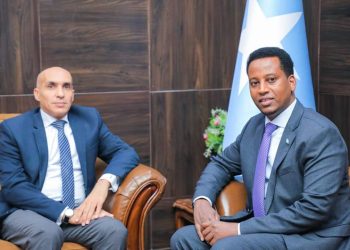 مباحثات صومالية مصرية في تعميق التعاون الثنائي