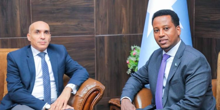 مباحثات صومالية مصرية في تعميق التعاون الثنائي